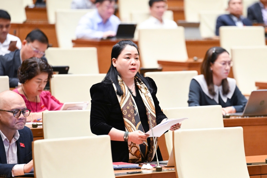 Đại biểu Huỳnh Thị Hằng Nga, Đoàn tỉnh Vĩnh Long. 