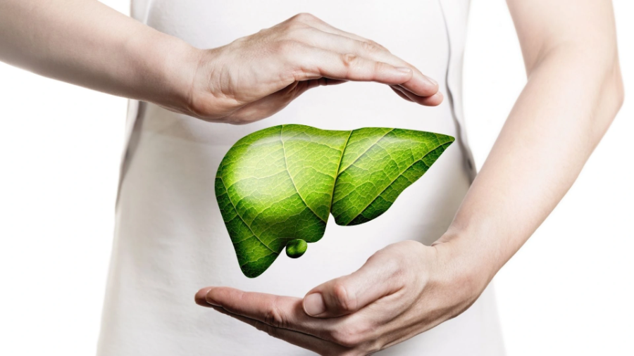 Những ca ghép gan thành công đã mang lại cuộc sống mới cho một bệnh nhân.