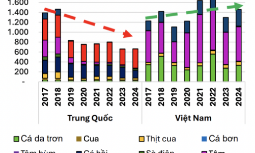 Lợi thế thuế đối ứng, thủy sản Việt Nam ngày càng chiếm lĩnh thị phần tại Mỹ