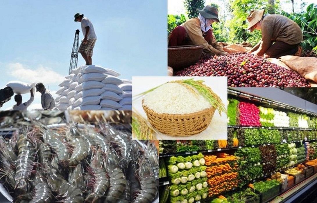 Gỡ vướng thuế giá trị gia tăng cho hàng nông, lâm, thủy sản