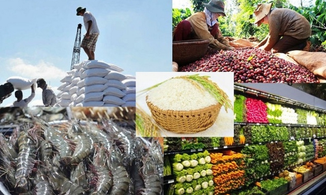Gỡ vướng thuế giá trị gia tăng cho hàng nông, lâm, thủy sản