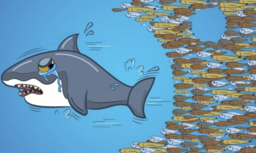 Quỹ ngoại báo hiệu suất âm do 