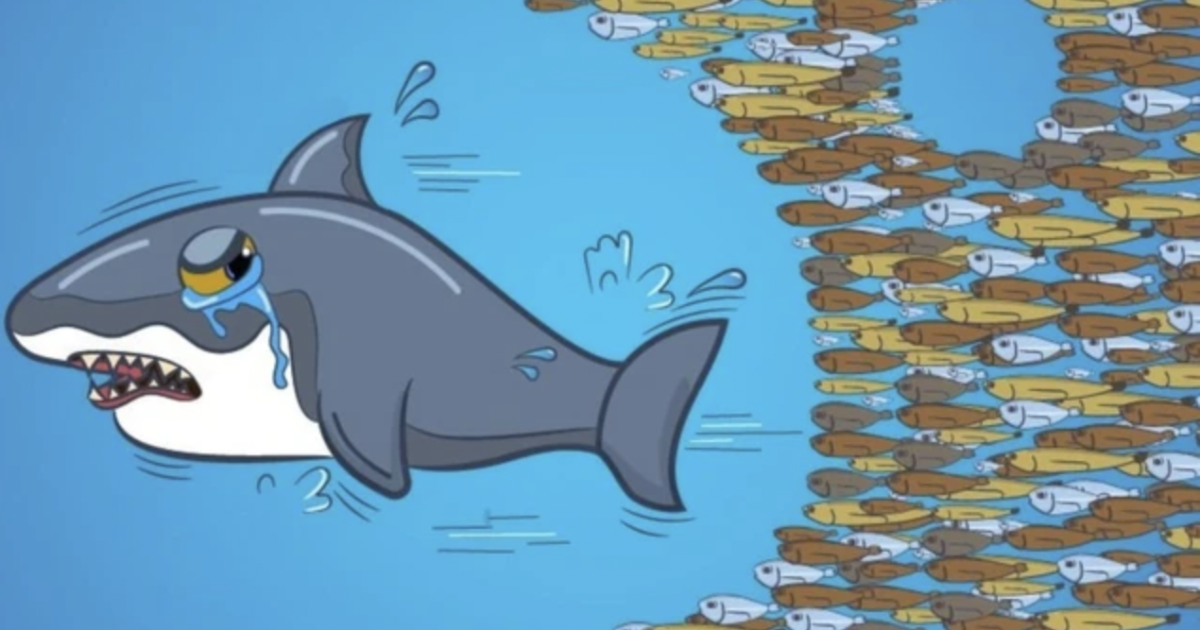 Quỹ ngoại báo hiệu suất âm do "ôm" hai cổ phiếu ngân hàng rớt mạnh trong tháng 10