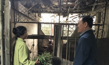 Nghệ An giảm nghèo bền vững và những mô hình sinh kế mới ở miền núi
