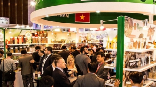 Vietnam’s “Go Global” journey to be accelerated