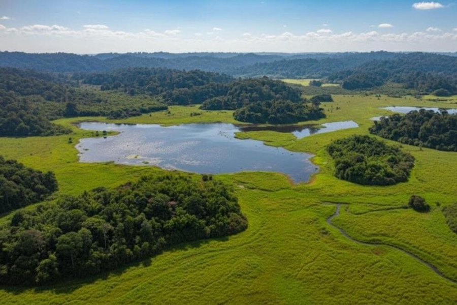 Vườn Quốc gia Cát Tiên (Đồng Nai) được UNESCO công nhận là Khu dự trữ sinh quyển thế giới.
