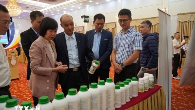 Da Nang named among Top 1,000 startup ecystems