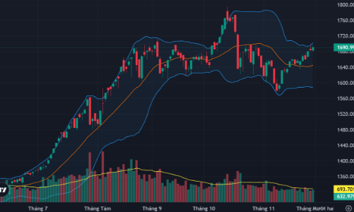 Trụ lớn kéo VN-Index áp sát 1700 điểm, tâm lý chán nản dâng cao