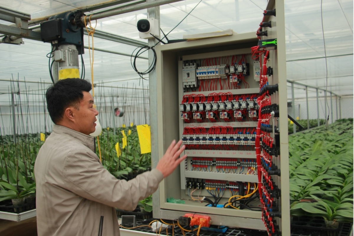 Bảng điều khiển tự động giúp cân bằng nhiệt độ và độ ẩm trong khu nhà trồng lan hồ điệp.