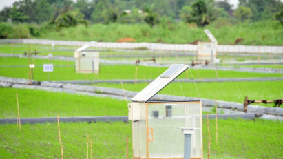 Towards a low-carbon agriculture