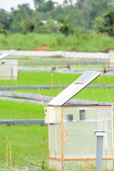 Towards a low-carbon agriculture