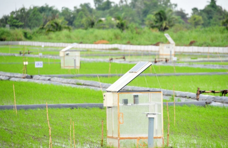 Towards a low-carbon agriculture