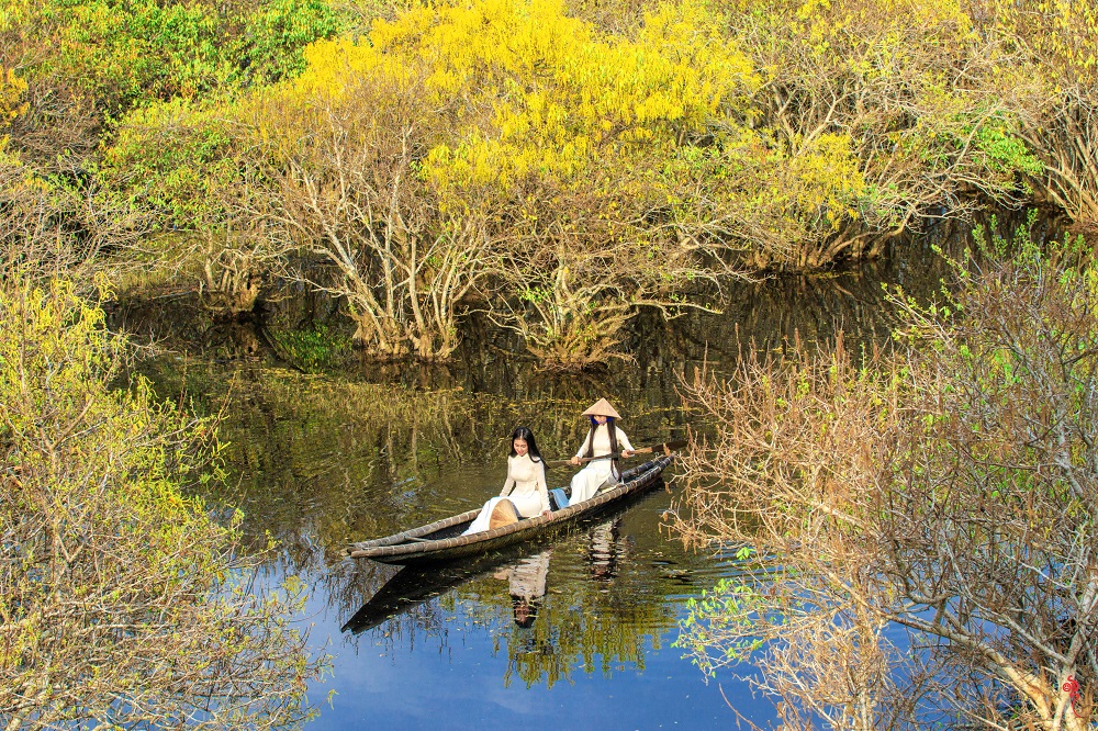 Rừng ngập mặn Rú Chá mùa thay lá - điểm ưu thích của du khách khi đến Huế