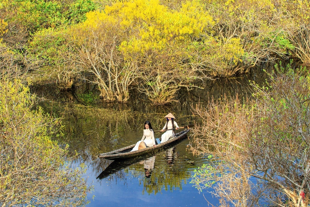 Rừng ngập mặn Rú Chá mùa thay lá - điểm ưu thích của du khách khi đến Huế
