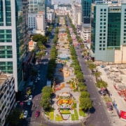 TP. Hồ Chí Minh ban hành bảng giá đất lần đầu, áp dụng từ 1/1/2026