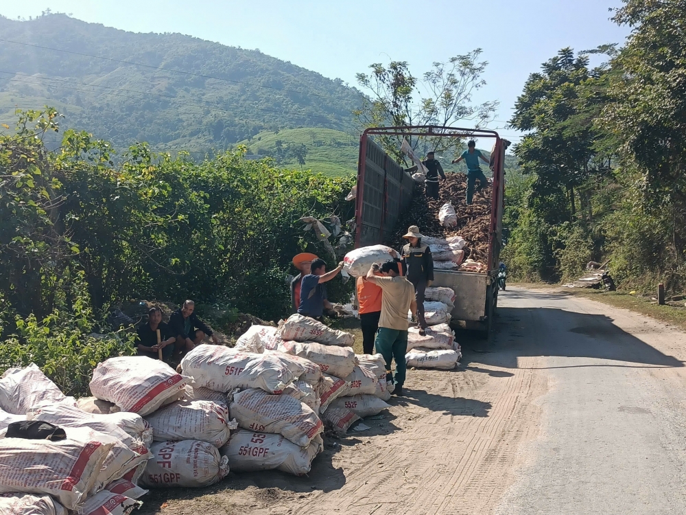 Xe tải đến tận nơi thu mua sắn cho bà con&nbsp;