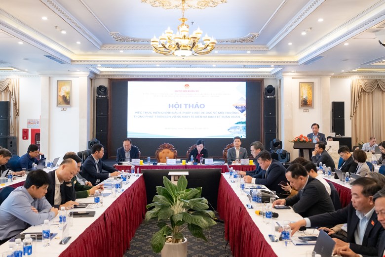 Phó Chủ tịch Quốc hội Lê Minh Hoan phát biểu chỉ đạo tại Hội thảo.