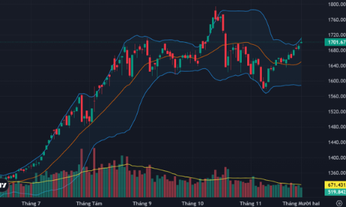 Cổ phiếu lớn kéo VN-Index vượt mốc 1700 điểm, dòng tiền vẫn hờ hững