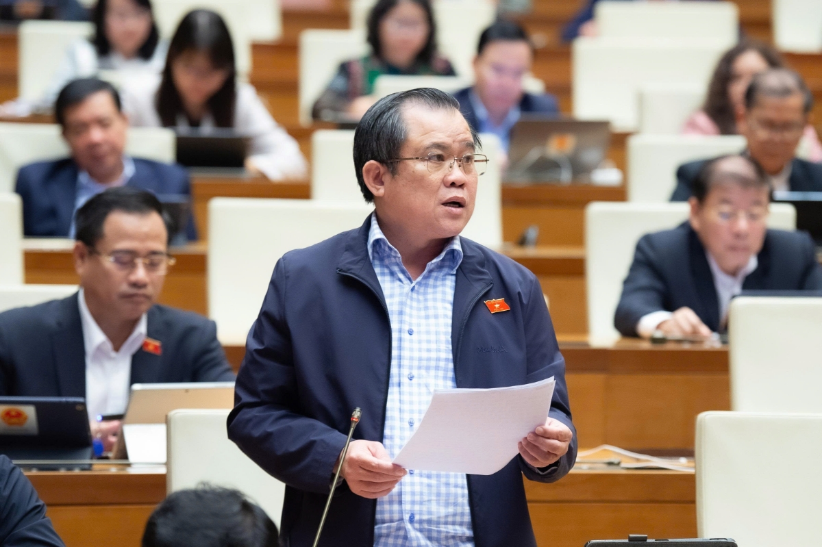 Đại&nbsp;biểu&nbsp;Nguyễn Tâm Hùng, Đoàn Đại biểu TP.HCM phát biểu ý kiến tại hội trường.&nbsp;Ảnh: Quốc hội.