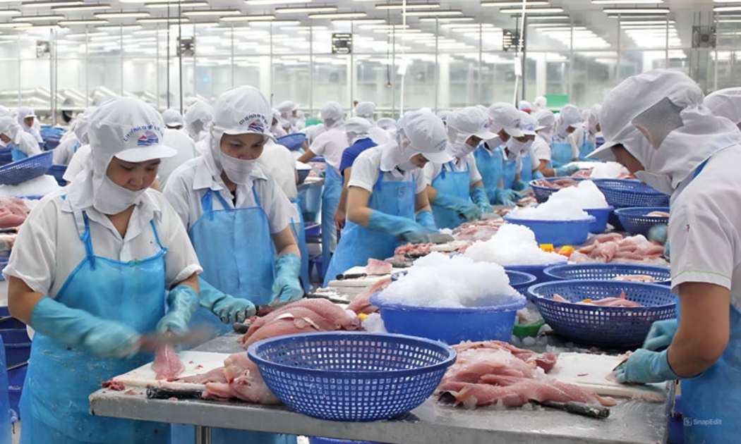 Xuất khẩu thủy sản dự kiến có thể cán mốc 11 tỷ USD vào cuối năm 2025.