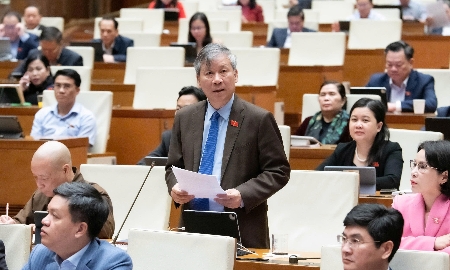 Đại biểu Nguyễn Anh Trí, đoàn ĐBQH TP.Hà Nội đề nghị miễn viện phí ngay cho những người đang điều trị bệnh hiểm nghèo. Ảnh: Quochoi.vn.