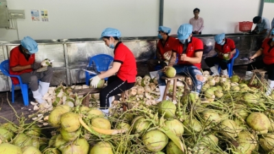 11M fruit and vegetable exports earn $7.8 billion 