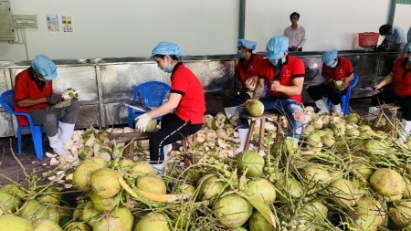 11M fruit and vegetable exports earn $7.8 billion 