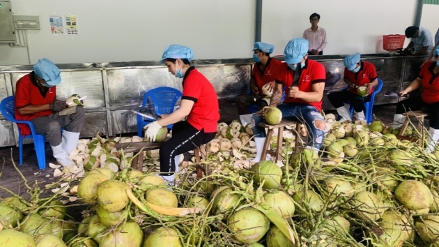 11M fruit and vegetable exports earn $7.8 billion 