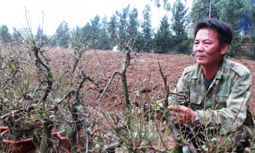 Hà Nội: Hình mẫu giảm nghèo bền vững và mở rộng an sinh xã hội của đô thị lớn