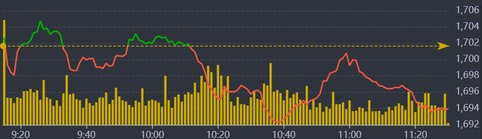 Diễn biến VN-Index sáng nay.