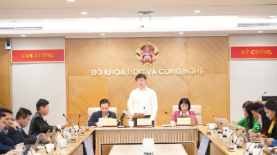  Six circulars guiding the Law on Digital Technology Industry issued in November