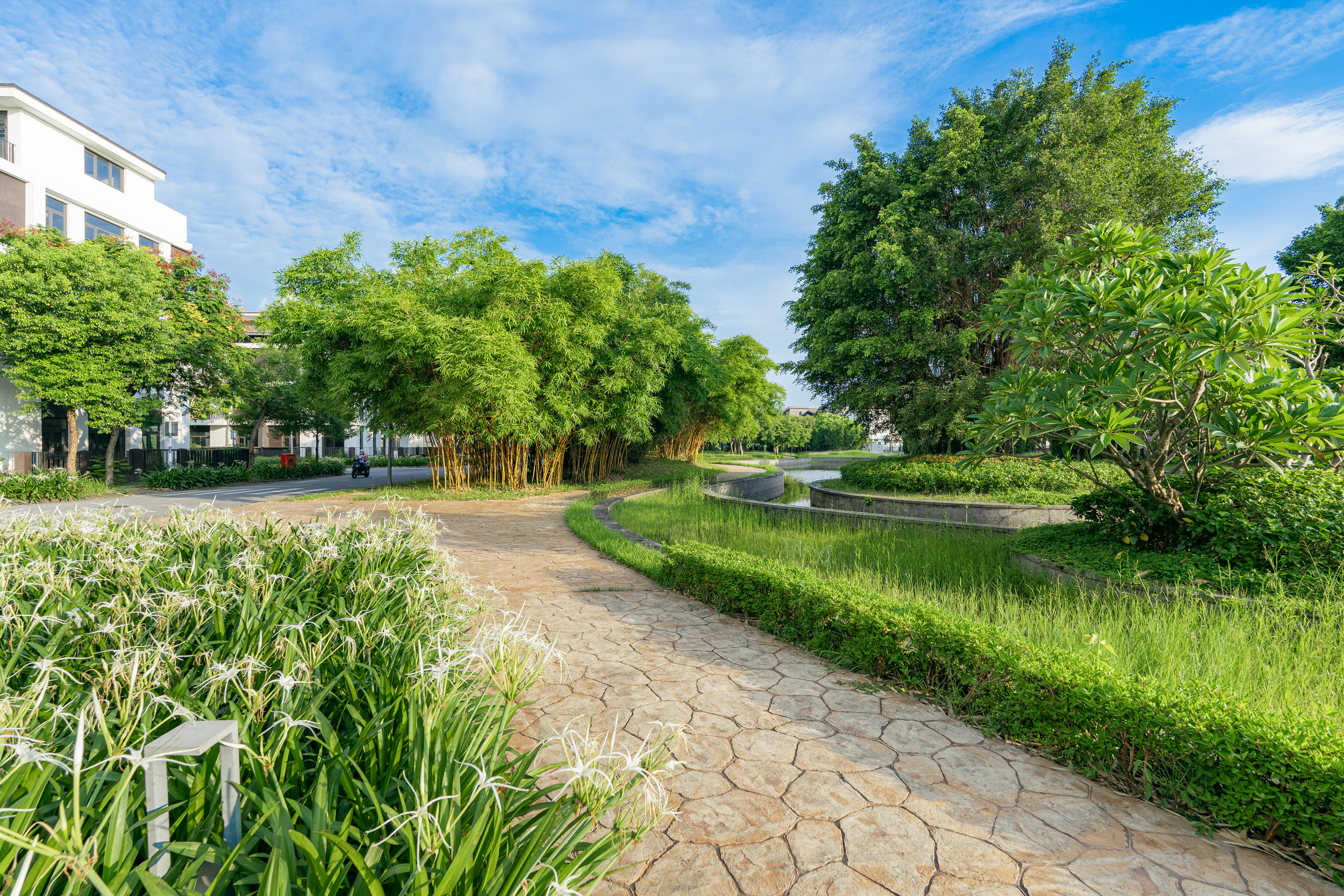HaDo Charm Villas – nơi thiên nhiên hòa quyện với kiến trúc tinh tế, tạo nên “lá phổi xanh” giữa trung tâm phía Tây Hà Nội.