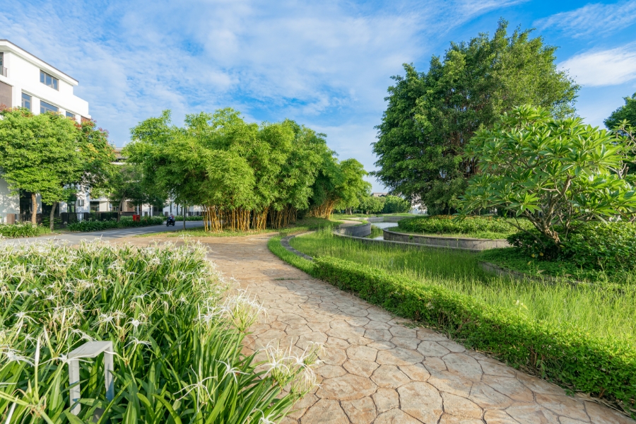 HaDo Charm Villas – nơi thiên nhiên hòa quyện với kiến trúc tinh tế, tạo nên “lá phổi xanh” giữa trung tâm phía Tây Hà Nội.