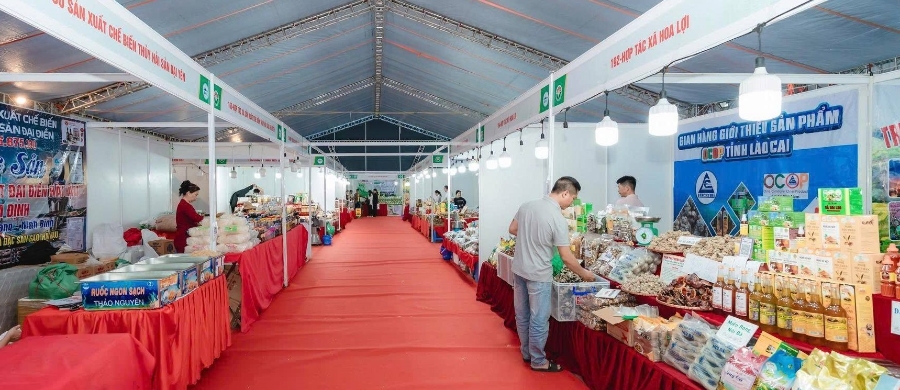 Hội chợ có quy mô 250 gian hàng.