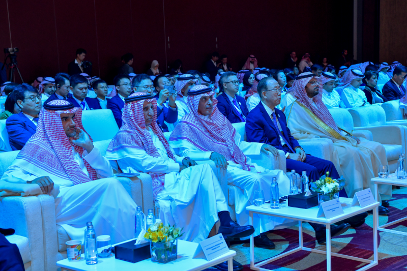 Experience in energy transition and sustainable development from the Middle East