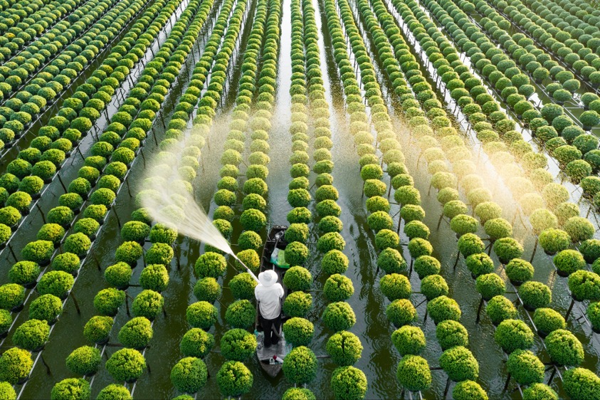 Các chính sách năng lượng mới đang âm thầm định hình lại bản đồ đầu tư của Việt Nam, kích hoạt mức tăng gấp năm lần nguồn vốn cho lĩnh vực chuyển đổi năng lượng. Ảnh minh họa
