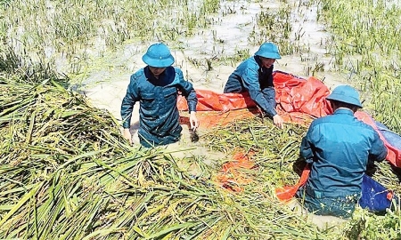 Hỗ trợ người dân khôi phục sản xuất sau lũ lụt.
