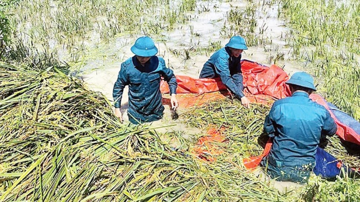 Hỗ trợ người dân khôi phục sản xuất sau lũ lụt.