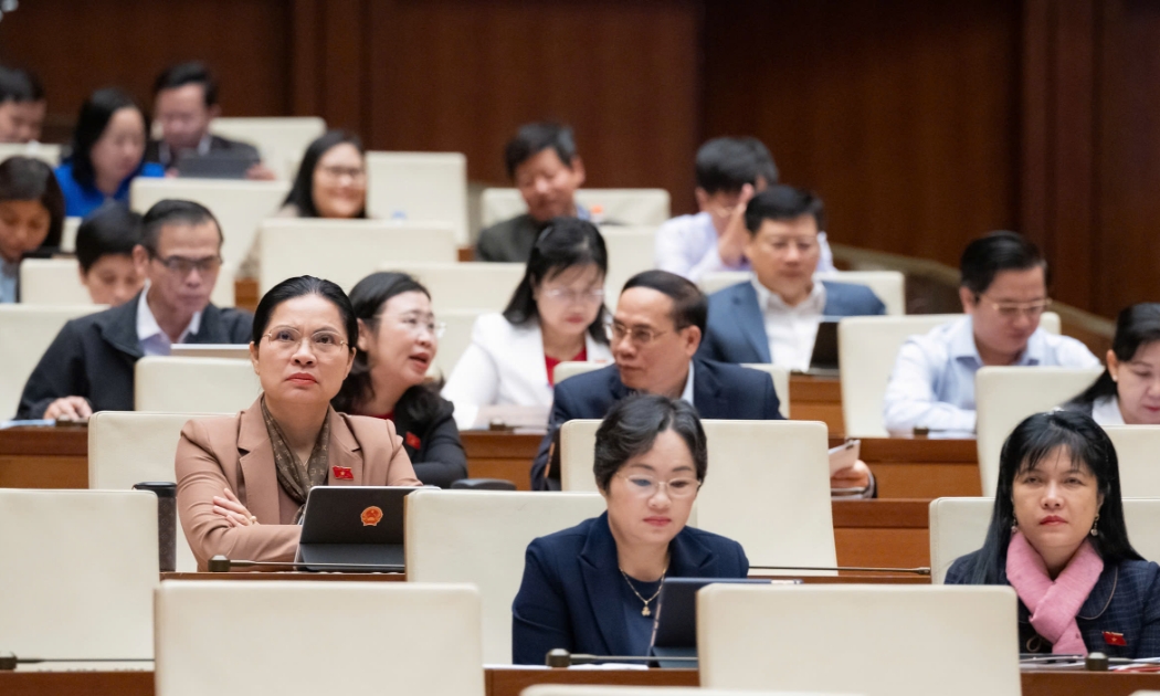 Các đại biểu tham dự phiên họp. 