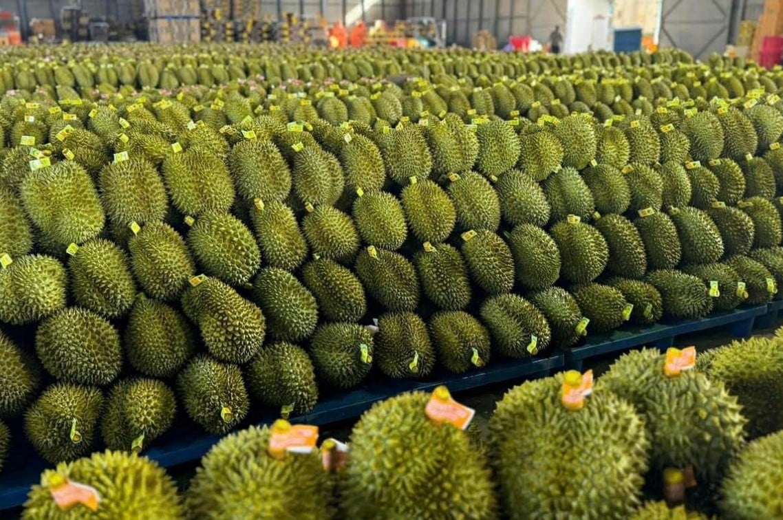Trong 11 tháng năm 2025, sầu riêng tiếp tục là mặt hàng dẫn đầu ngành hàng rau quả, với giá trị xuất khẩu đạt 3,55 tỷ USD