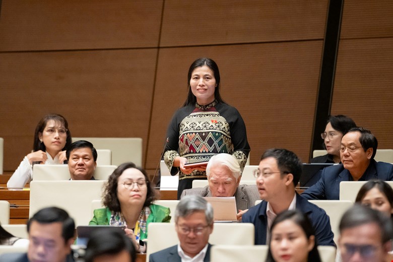 Đại biểu Hồ Thị Minh, Đoàn đại biểu Quốc hội tỉnh Quảng Trị.