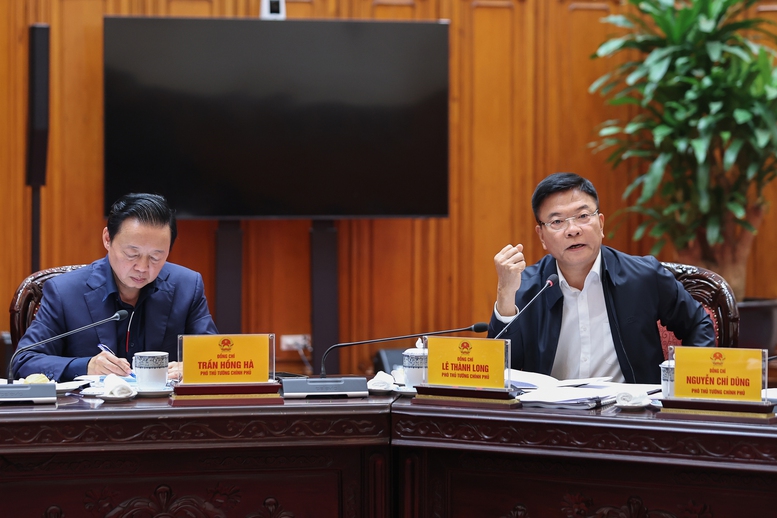 Phó Thủ tướng Lê Thành Long phát biểu - Ảnh: VGP