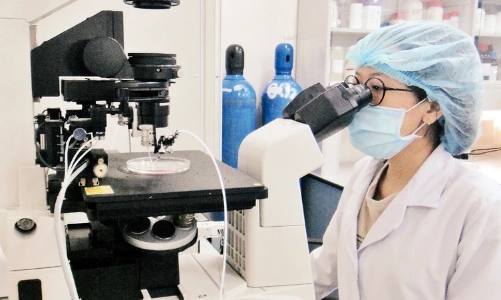 Greater focus should be placed on STEM studies