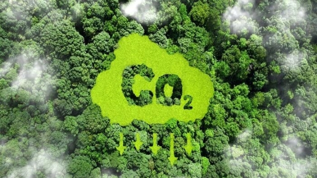 Vietnam shows strong promise in developing carbon market: seminar