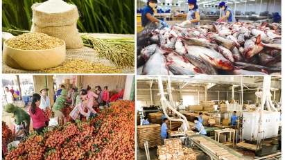 Agro-forestry-fishery exports earn $64 bln in 11M