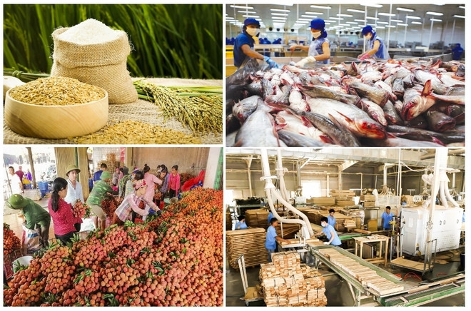 Agro-forestry-fishery exports earn $64 bln in 11M