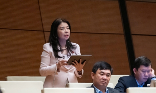 Mở rộng bổ nhiệm thẩm phán là người nước ngoài tại Tòa án chuyên biệt