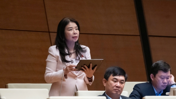 Mở rộng bổ nhiệm thẩm phán là người nước ngoài tại Tòa án chuyên biệt