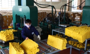 Xuất khẩu cao su toàn ngành suy giảm, VRG vẫn bứt phá ấn tượng