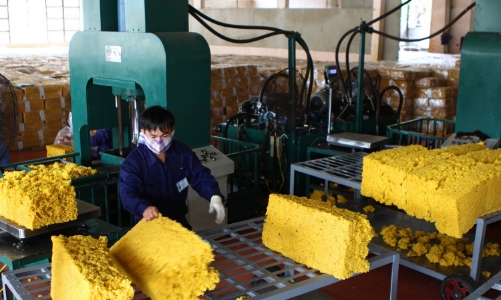 Xuất khẩu cao su toàn ngành suy giảm, VRG vẫn bứt phá ấn tượng